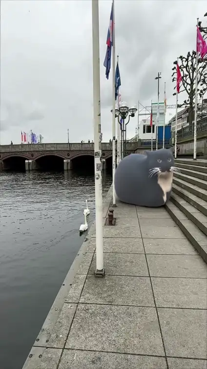 Video 3